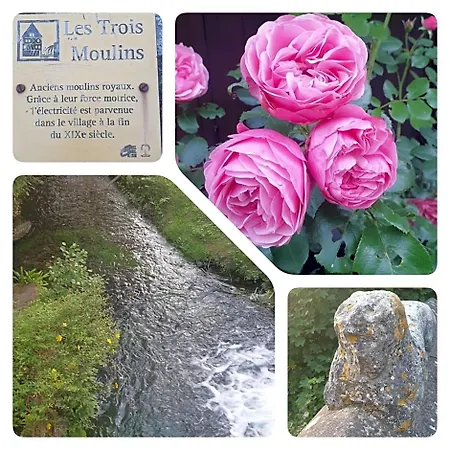 Bed & Breakfast La Gaudiniere 3*