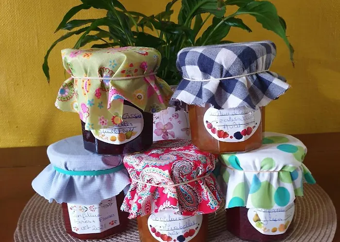 La Gaudiniere 3* リヨン・ラ・フォレ